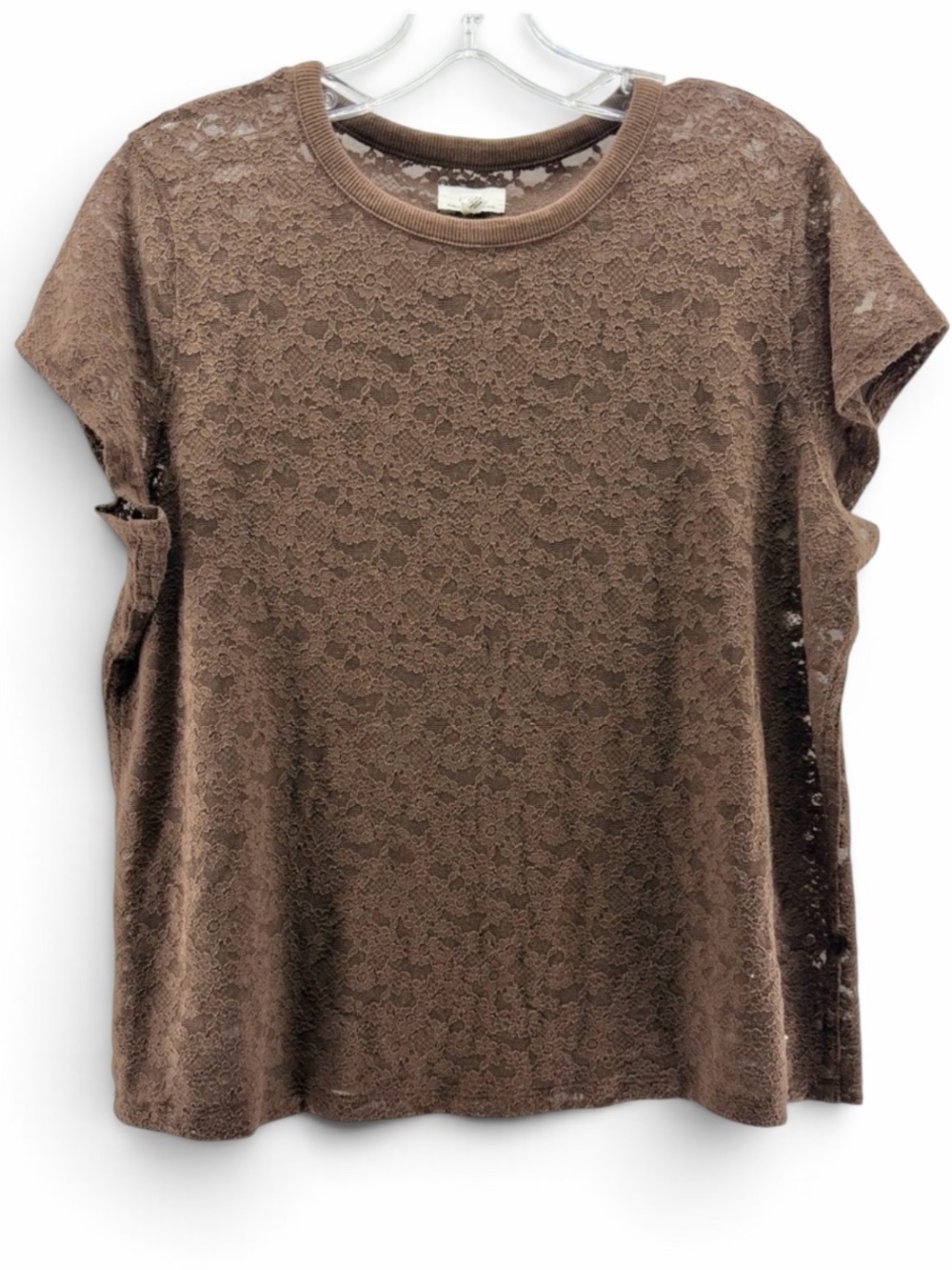 Aerie Brown Vintage Lace Short Sleeve Crop Tee Size Large